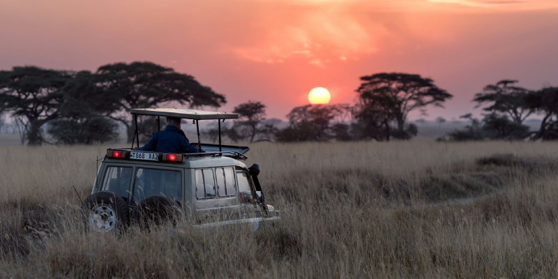 Planning Your African Safari Adventure