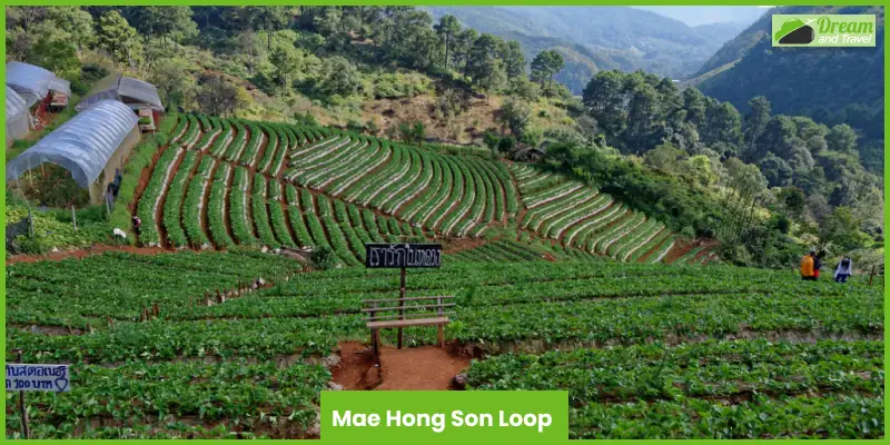 Mae Hong Son Loop