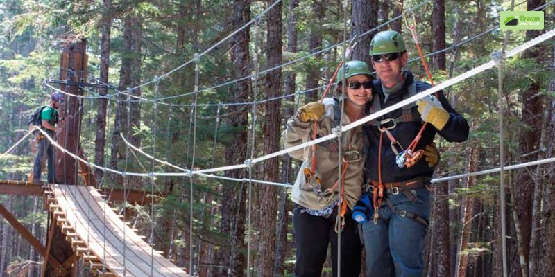Grizzly Falls Ziplining Expedition