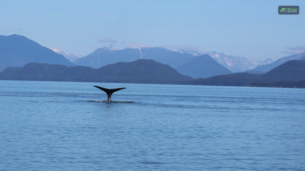 Juneau Whale Beach