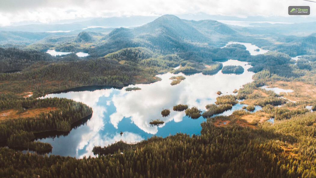 Ketchikan RainForest Ecotour