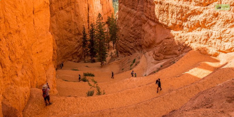 Head Over To The Navajo Loop Trail