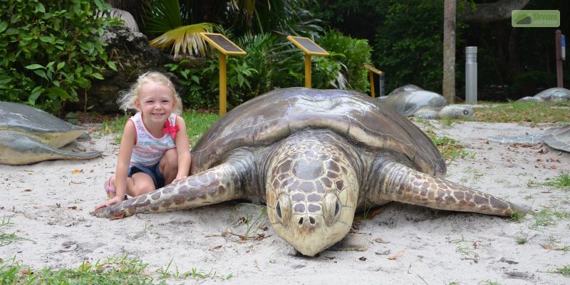 Gumbo Limbo Nature Center