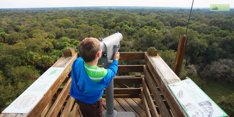 Myakka Canopy Walkway and Observation Tower