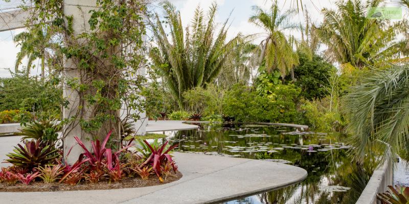 Naples Botanical Garden