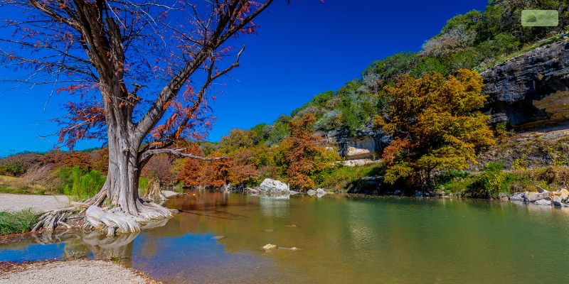 Guadalupe River State Park