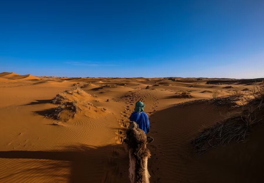 Sahara Desert