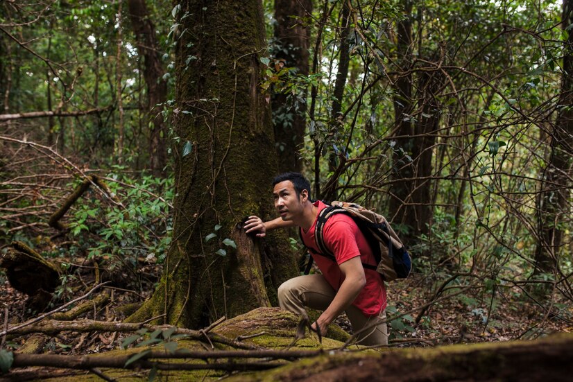survival in the wild