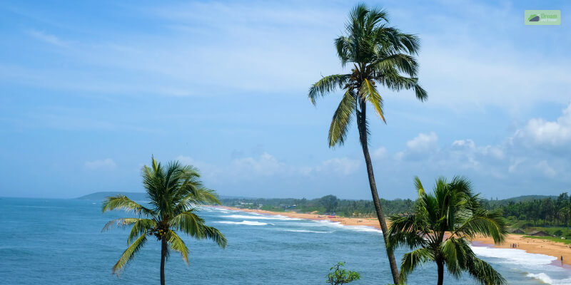 How To Reach Candolim Beach From Panji