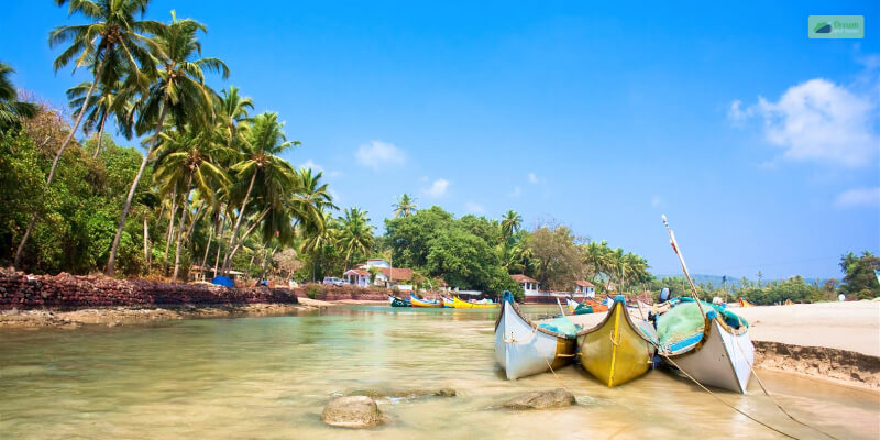 Things To Do At Baga Beach Top Attractions