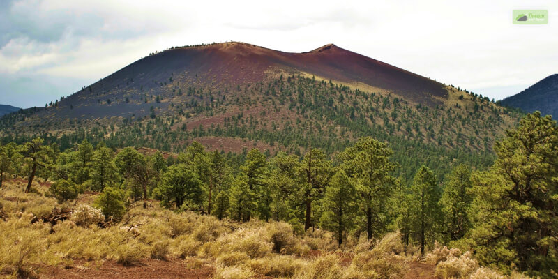 Sunset Crater Volcano Monument