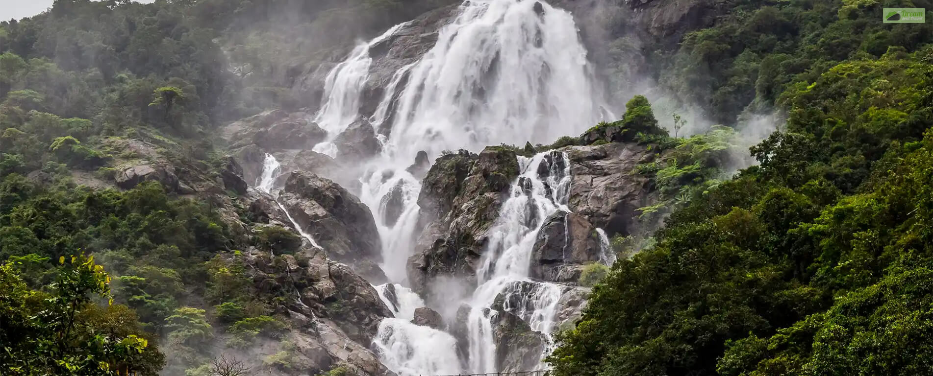 The Best Ways to Experience Dudhsagar Falls You Should Know