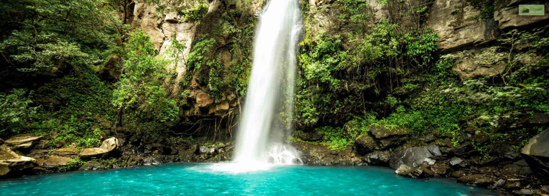 Breathtaking Oahu Waterfall Hikes Worth Checking Out