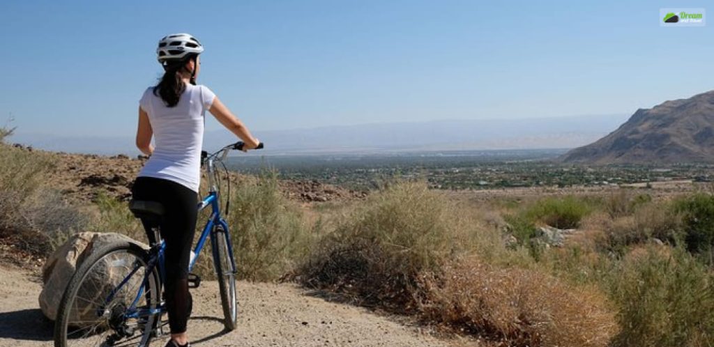 Explore the land with a bike tour