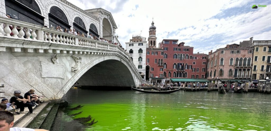 Stage 3_ Venice