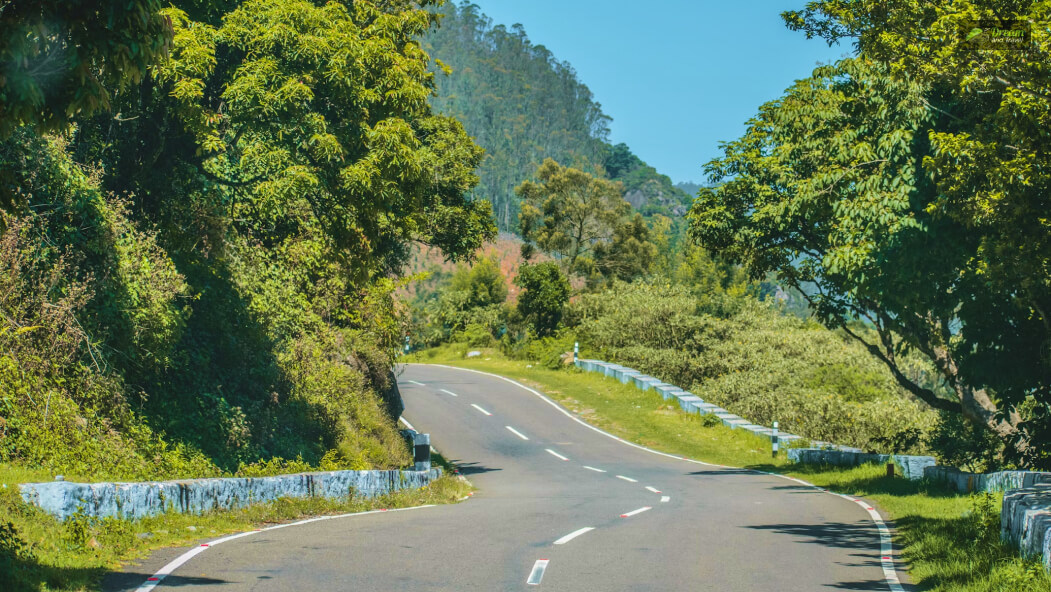 How To Go To Ooty From Hyderabad_ Know The Other Ways Of Travel