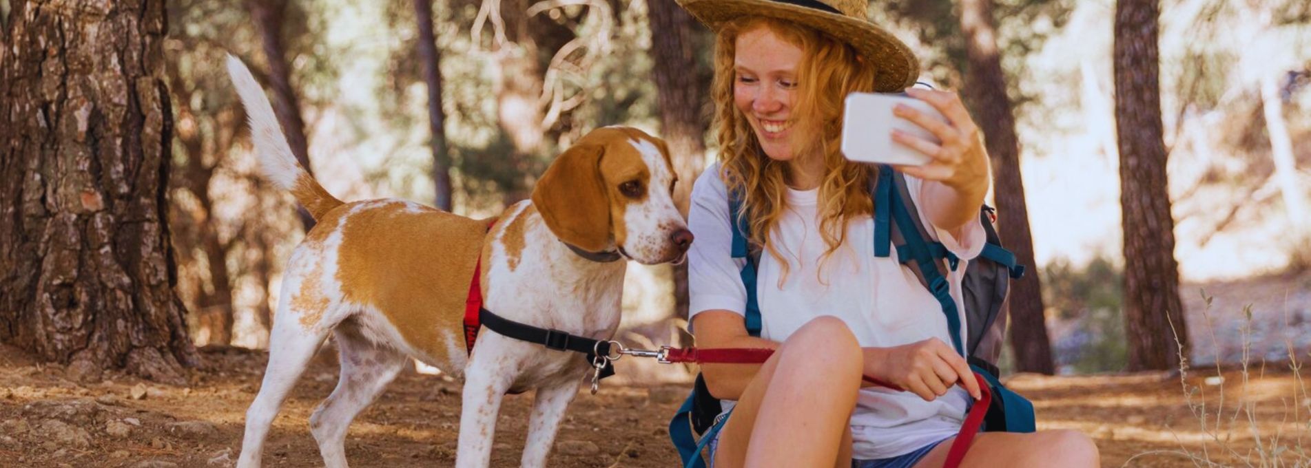 Dog Travel Checklist