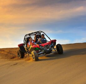 Dune Buggy tour