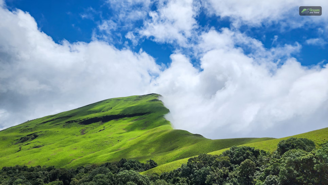 Is Chikmagalur Worth Visiting_