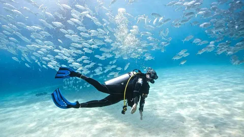 Scuba Diving In The Mediterranean