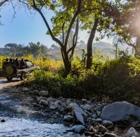 5 star hotel in Jim Corbett