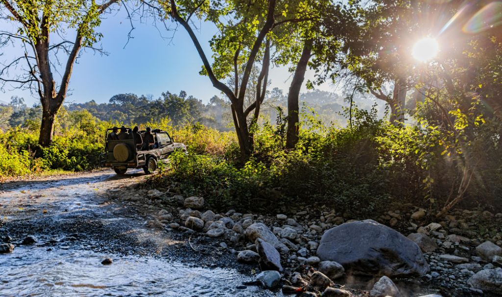 5 star hotel in Jim Corbett