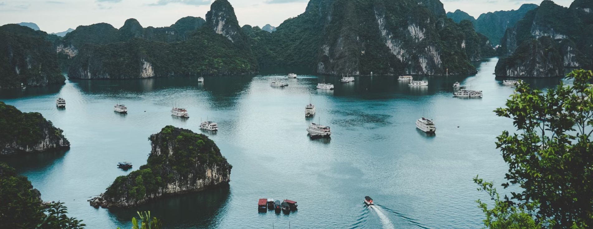 How to Choose the Best Vietnam Tour Company