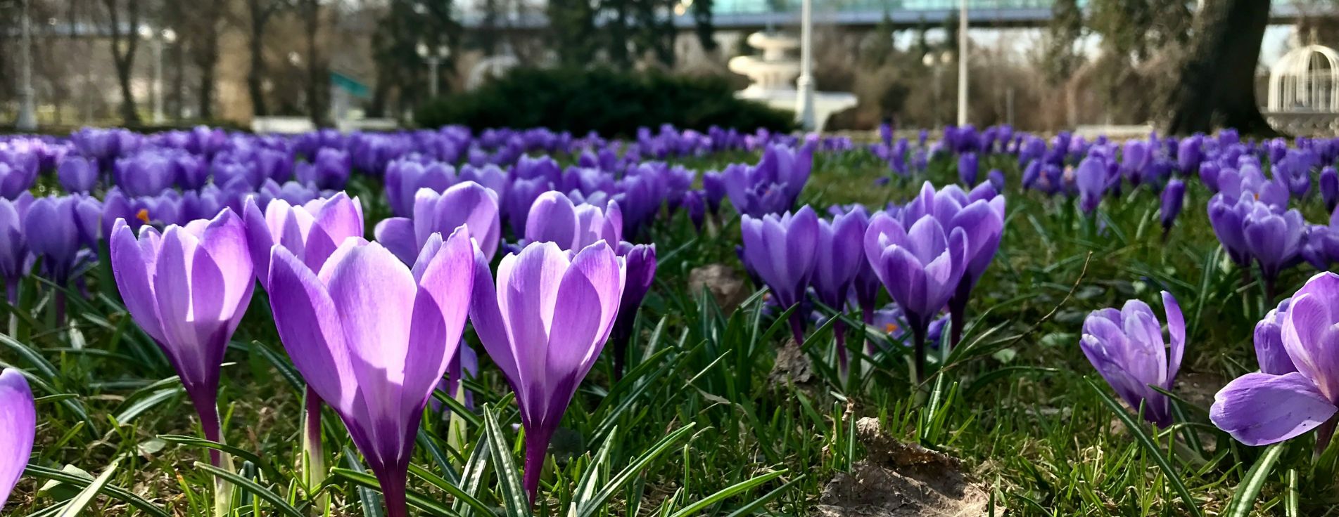 Springtime In the UK