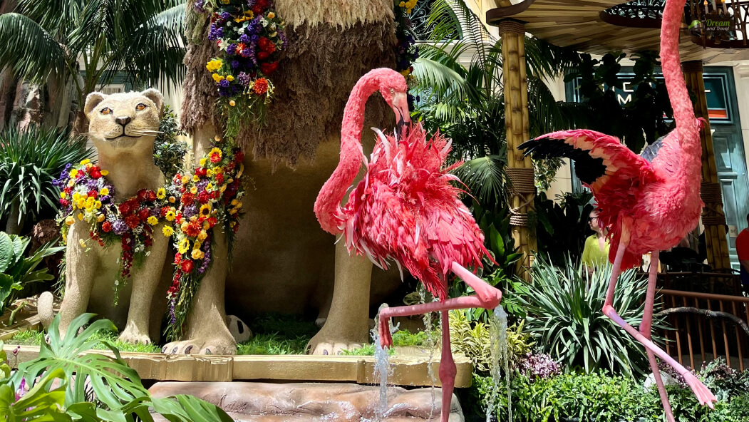 Visit The Bellagio Conservatory & Botanical Gardens