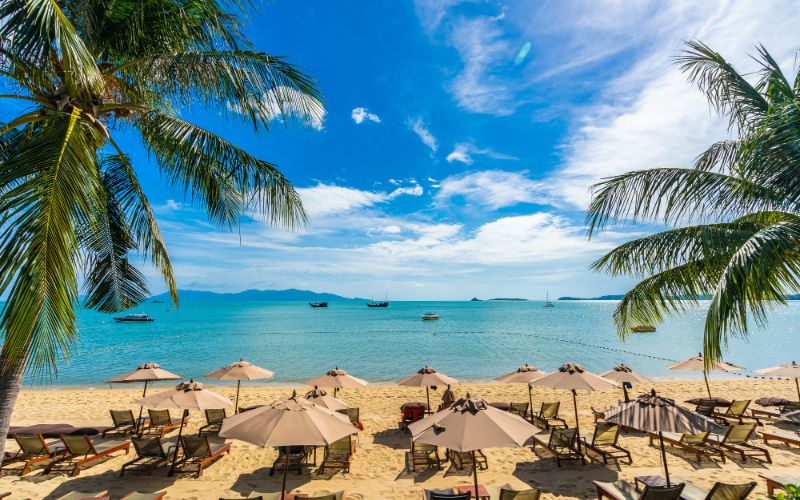 What Is Goa Famous For