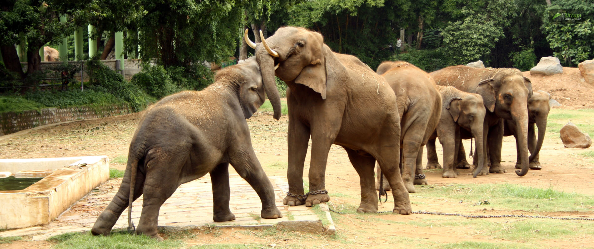 Mysore Zoo