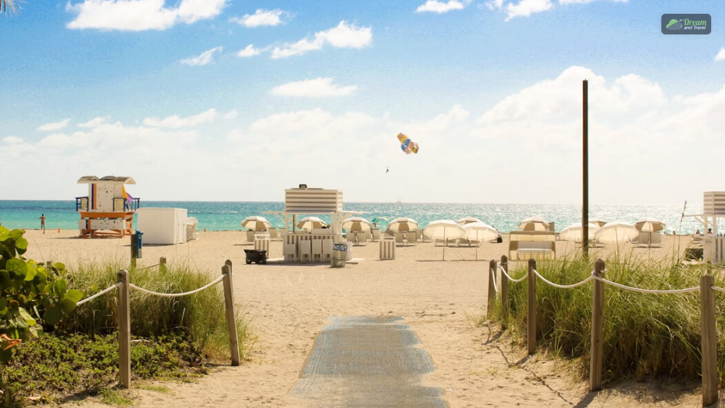Relaxing At The South Beach (10-11 AM)