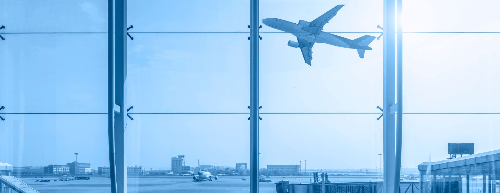 Porter Service Vs. Comprehensive Meet & Assist Solution