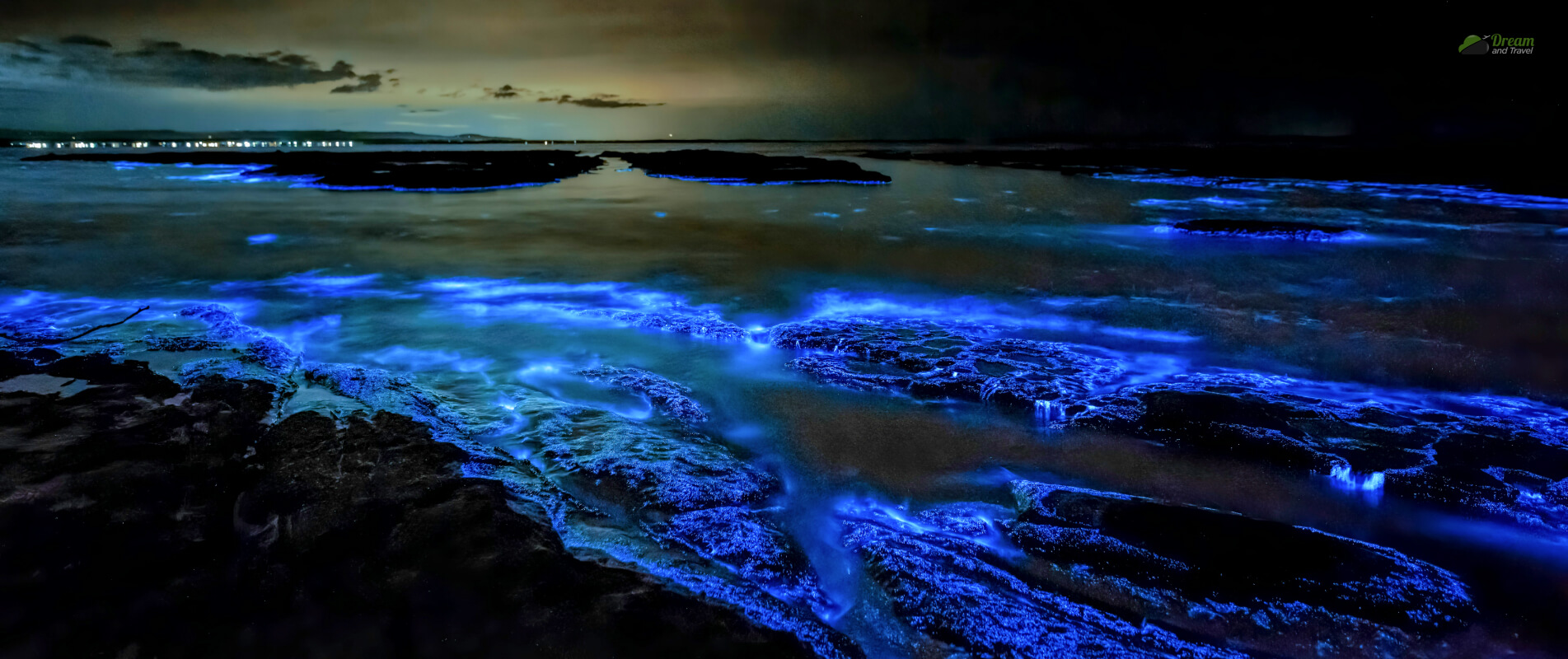 Bioluminescence Beach
