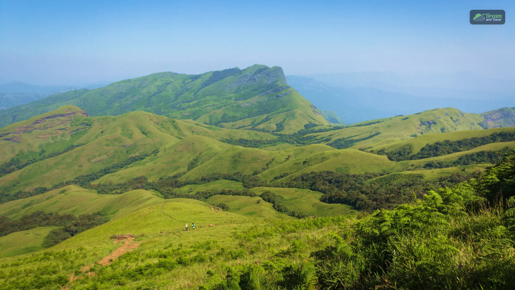 Quick Facts You Need To Know About Z Point Chikmagalur