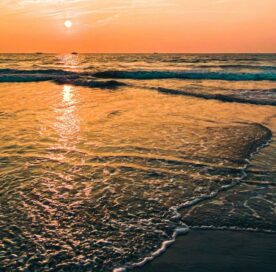 What Is Goa Famous For