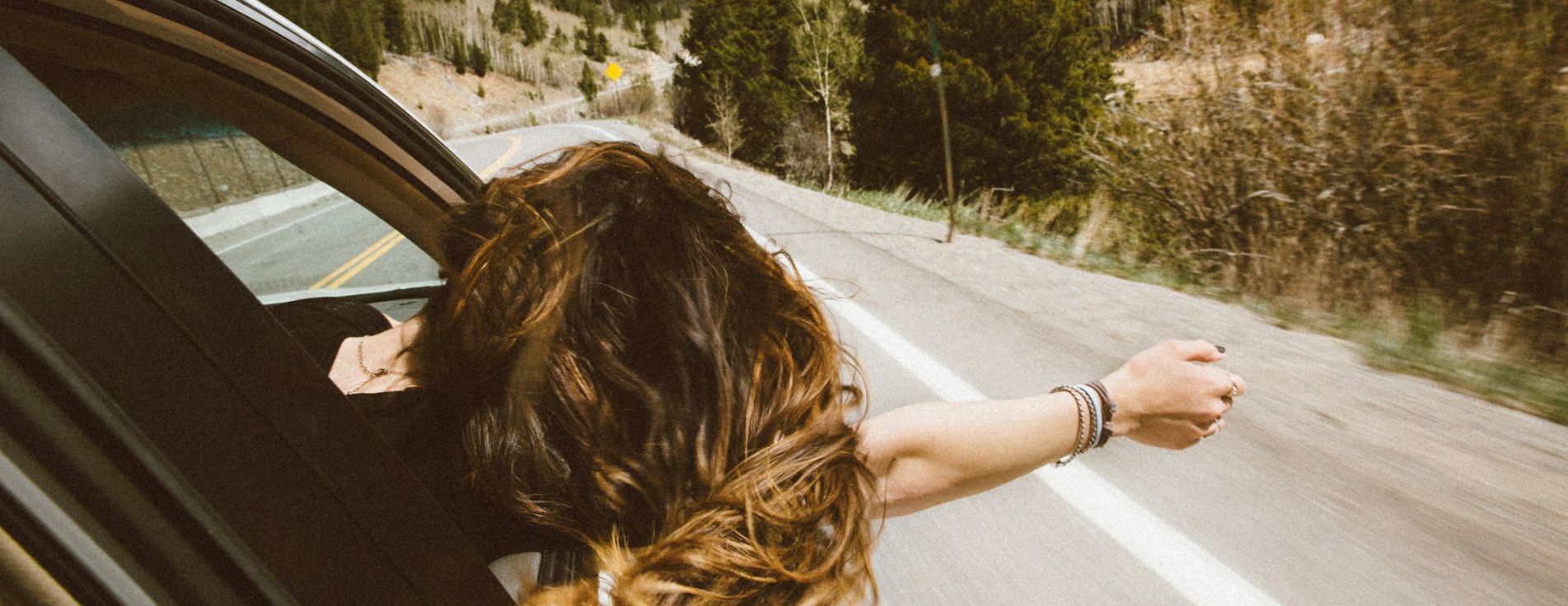 road trip car wrap colors