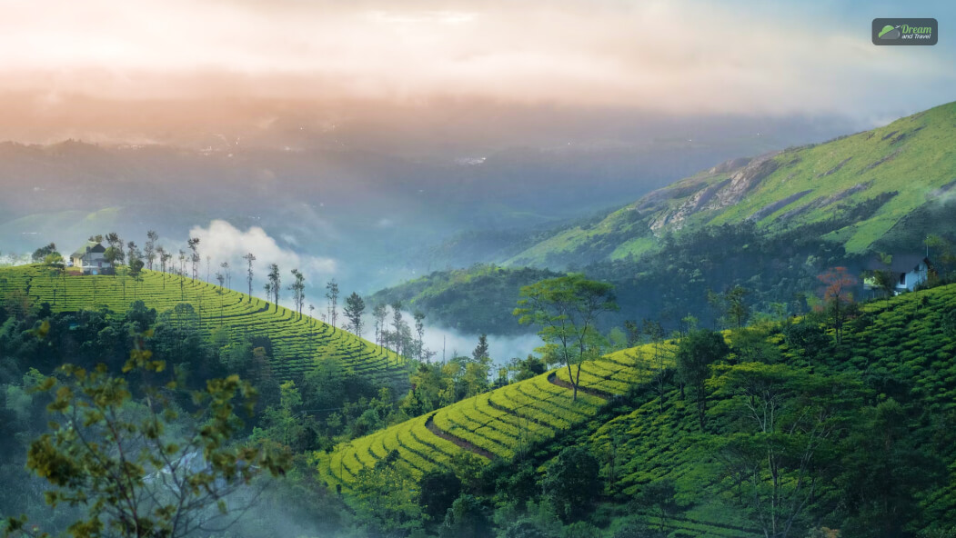 A Trip To The Vagamon Hill Station