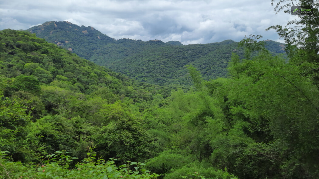 Jawadu Hills