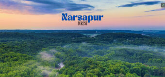 Narsapur Forest