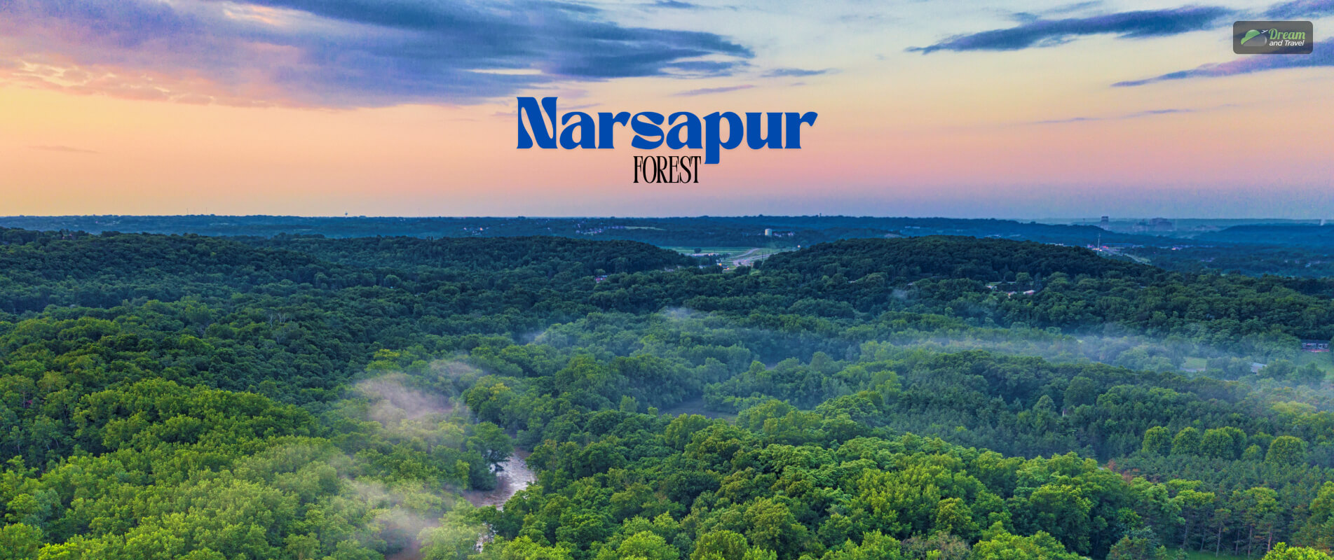 Narsapur Forest