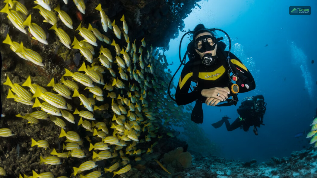 Scuba Diving Package