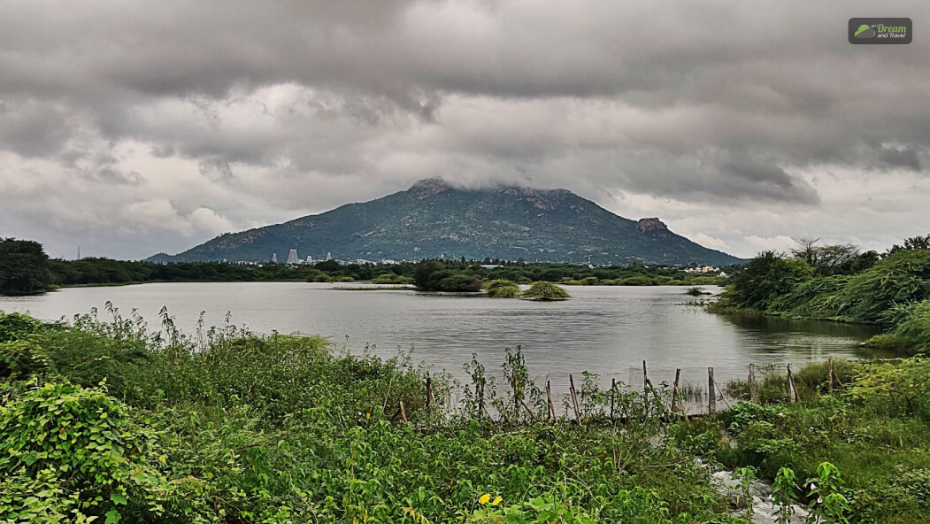 What Is The Significance Of The Arunachalam Temple And Hill_