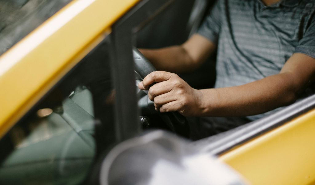 Professional driver services for travelers