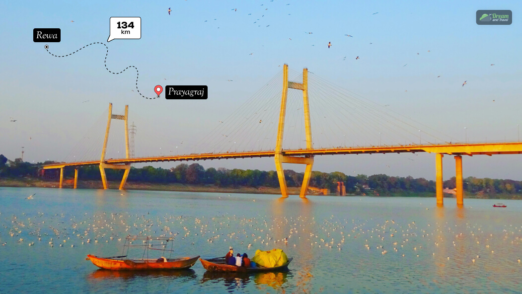 What Is The Rewa To Prayagraj Distance In Kilometers_